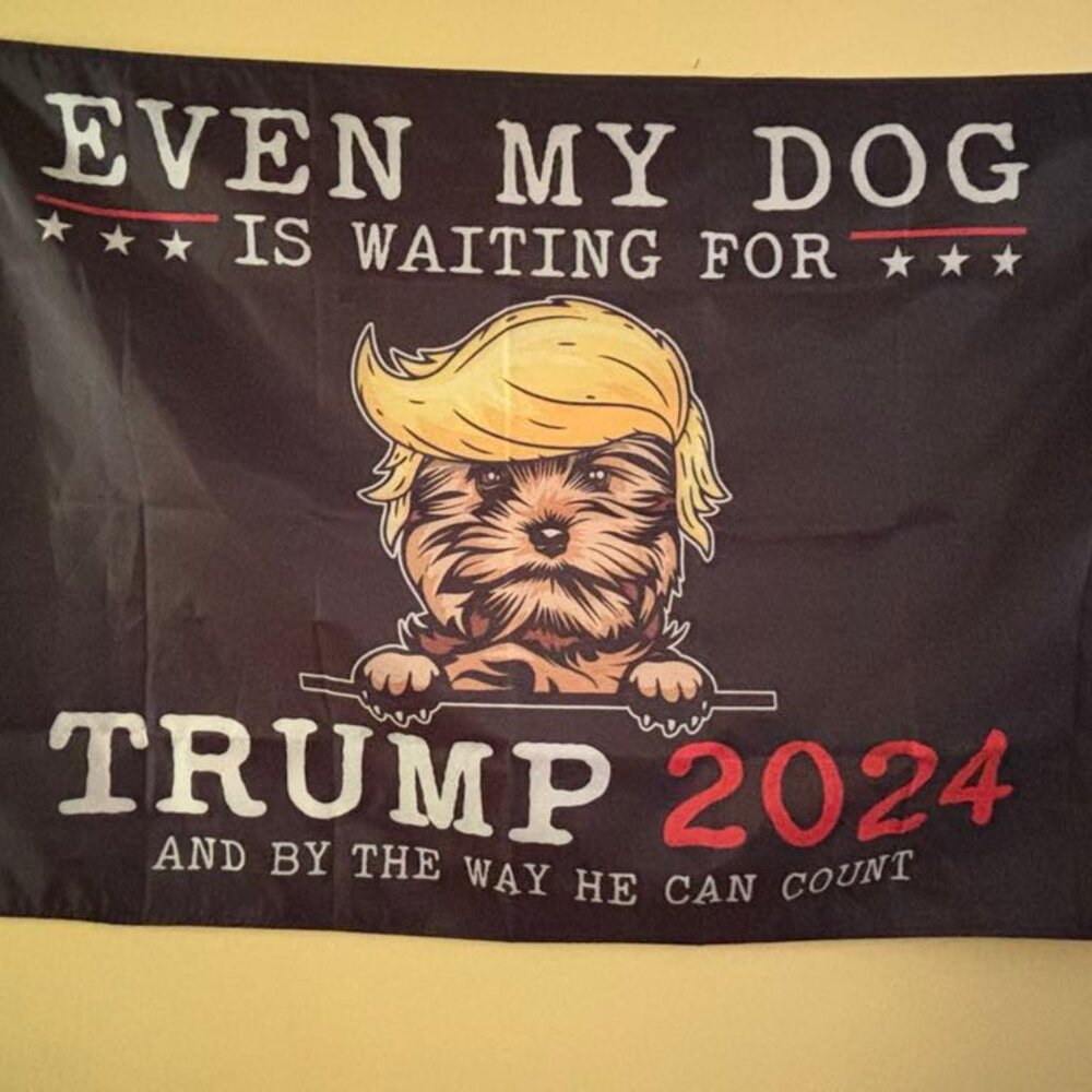 Even my dog is waiting for trump flag